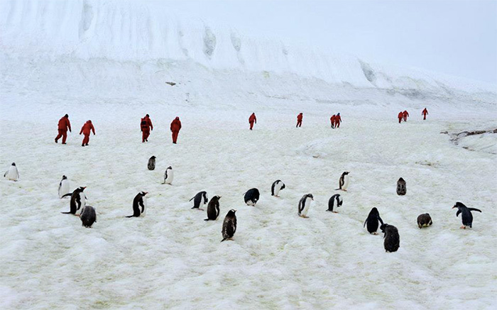 15 Epic Half Marathons You Must Run in 2026